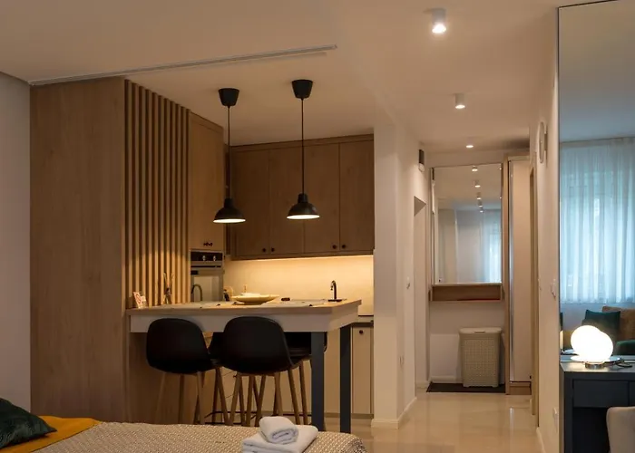 Apartman Sandra Free Parkig Appartement Vrnjačka Banja